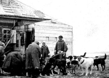 The expedition members went back to the shore with the Samoyeds and were shown around the houses and the little church. There were a dozen dogs outside the houses. Due to the shortage of food, the colony had recently had to slaughter several dogs for meat. One of the Samoyeds gave Holtedahl fossils in exchange for tobacco. The expedition also left some food at the colony before moving on.
