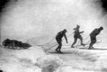 On 31 July, Olaf Holtedahl set out on a ski expedition from the Mashigin Fjord across the island along with his geologist cousin Reidar Holtedahl and the young medical student and assistant Reidar Tveten. This picture shows the three men on their way up over the Norwegian glacier from Mashigin Fjord.