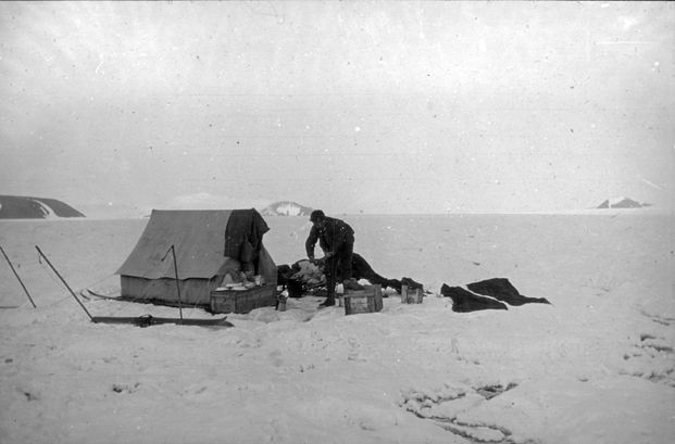 Packing up the camp at the Ibis Glacier before the group set off back across the island. The guy lines were pegged to the ice using ski poles, and the ground was so uneven that they had to dig holes for the poles using the geological hammer. The trip back across the island mostly followed the same route, and on 6 August, the group arrived back at the “Blaafjell”, which was anchored in Mashigin Fjord.