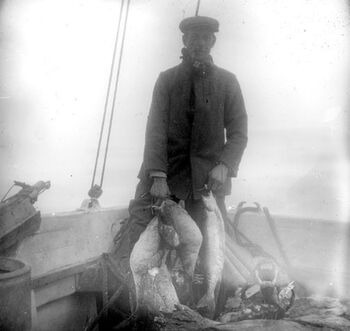 On their way south again along the coast of Novaya Zemlya, the expedition again stopped at the Samoyed colony in the Pomorskaya Bay and stocked up with new supplies. This picture appears to show fish they had caught themselves.