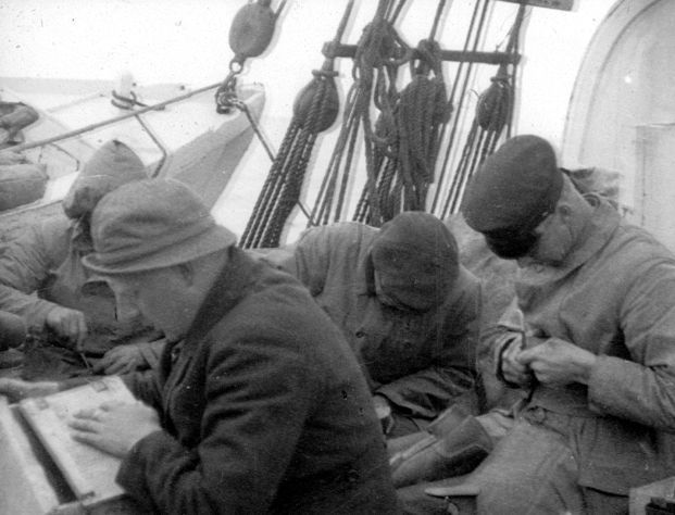 After a brief stop in Finnmark, the expedition arrived back in Tromsø on 8 September. Samples and equipment were unloaded from the “Blaafjell” and sent to Kristiania. The expedition members said goodbye to the “Blaafjell” and its crew and continued their journey south with the Hurtigruten coastal ferry. The expedition’s findings were later published by the Norwegian Company of Sciences in a series of academic articles in the years 1924–30 written by the expedition participants themselves and others who were given access to the materials they had found. Several of the articles were illustrated with images of geographical formations, rocks, fossils and plants taken by the expedition’s photographer Reidar Lund and other participants.