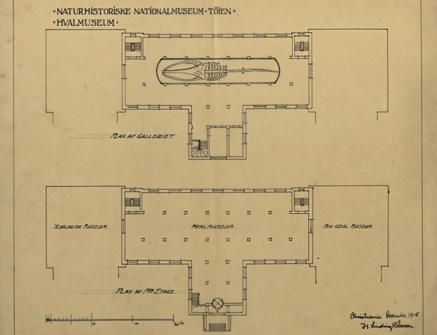 Plan av 1. etasje og galleri i Hvalmuseet. Planen viser også den fremtidige sammenbindingen med de eksisterende museumsbygningene. Tegning av Holger Sinding-Larsen, desember 1915.