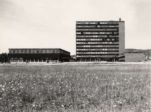 På midten av 1960-tallet, før SV fikk sine bygninger, var det en blomstereng mellom HF og Blinderns villabebyggelse. Ukjent fotograf/MUV.