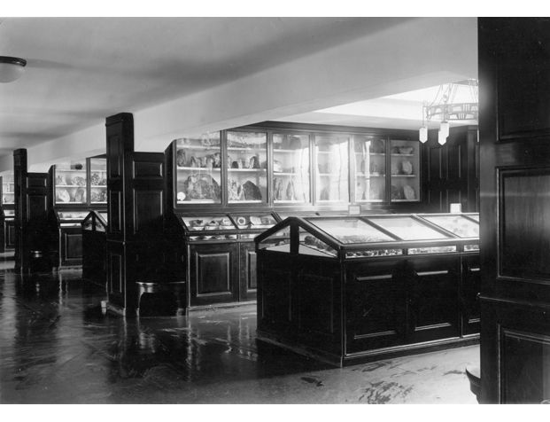 1920-årene: Utstillingssalene i 1. og 2. etasje var i utgangspunktet likt utført med mørkbeisede montre som skal illudere edeltre. Innredningen med høye veggmontre og pultmontre imellom var hentet fra eldre europiske forbilder. Salene hadde høye vinduer. I 2. etasje var det gallerier på langveggene. Mineralsalen i 2. etasje, vist her, har lavere takhøyde på midten enn den høyloftede Bergartssalen i 1. etasje og naborommet Paleontologisk sal.