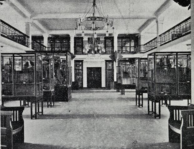 1. februar 1910 åpnet Zoologisk museum dørene. Et forventningsfullt publikum fikk komme inn i denne utstillingssalen i 1.etasje.