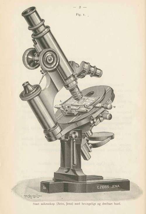 Stort mikroskop (Zeiss, Jena) med bevegelig og dreibart bord. Kontinental modell med fot formet som en hestesko.